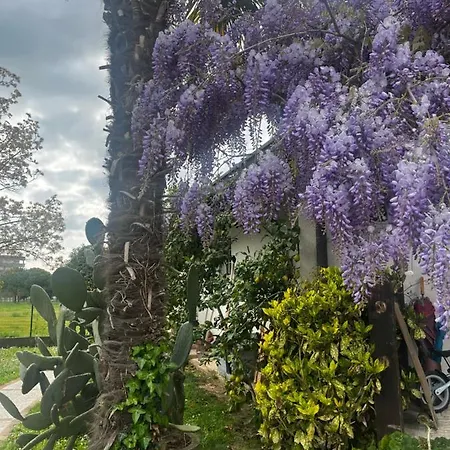 Panzió La Casa Di Laura Lignano Sabbiadoro