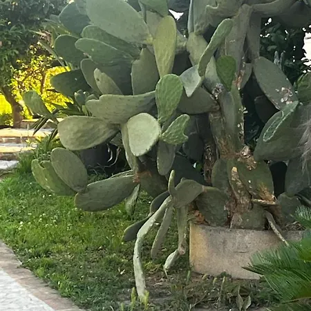 Frühstückspension La Casa Di Laura